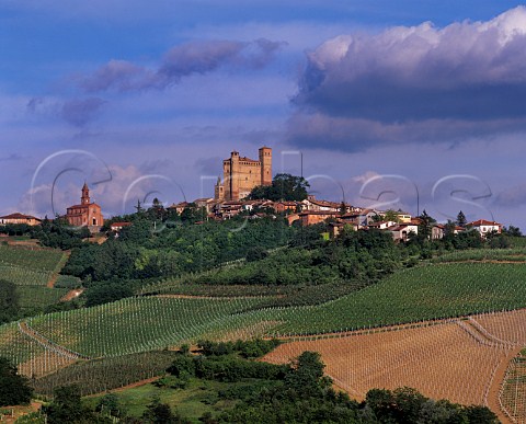 Vineyards below Serralunga dAlba Piemonte Italy Barolo