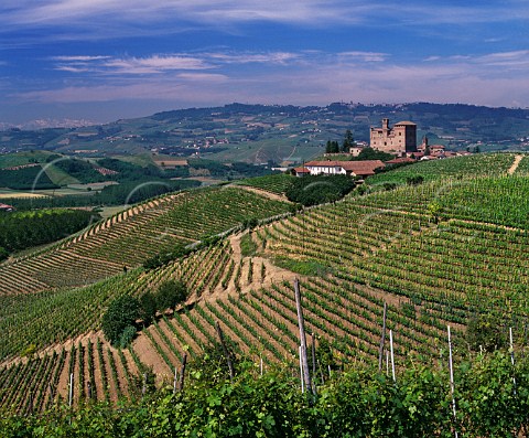 Castello di Grinzane and part of the Carzello vineyard of Giordano Grinzane Cavour Piemonte Italy Barolo