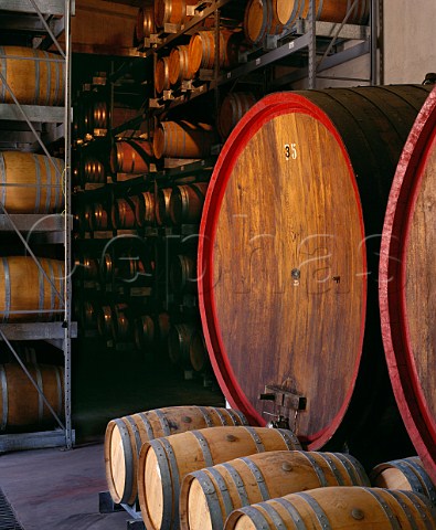 Botti and barriques in winery of Giordano Valle Talloria dAlba Piemonte Italy