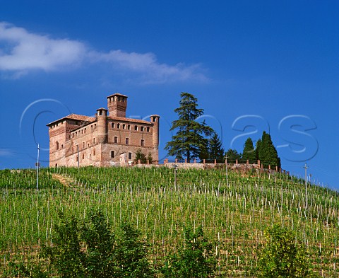 The 14thcentury castle above the Castello di Grinzane vineyard Grinzane Cavour Piemonte Italy Barolo