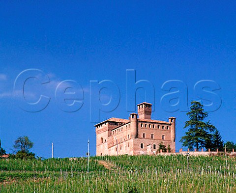 The 14thcentury castle above the Castello di   Grinzane vineyard at Grinzane Cavour   Piemonte Italy   Barolo