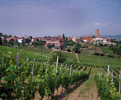 The village of Barbaresco with left of centre the   premises of Angelo Gaja   Piemonte Italy    Barbaresco