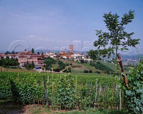 The village of Barbaresco with the premises of   Angelo Gaja on the left   Piemonte Italy    Barbaresco