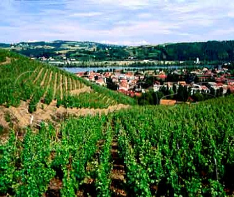 Vineyards on the Cte Brune above Ampuis and the   Rhne Rhne France  AC Cte Rtie