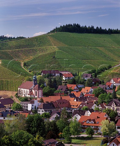 The Plauelrain vineyard above Durbach  Baden Germany  Ortenau