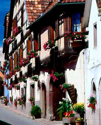 Geranium covered wine producers premises   in Hunawihr HautRhin France  Alsace