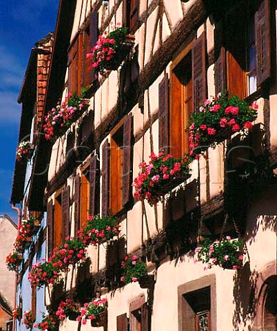 Geranium filled window boxes of wine producers   premises in Hunawihr HautRhin France  Alsace