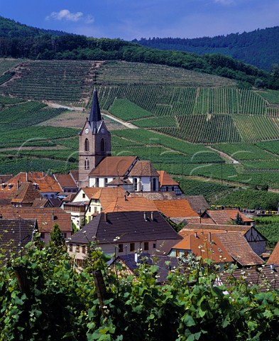 Rodern with the Grand Cru Gloeckelberg vineyard on   the hill beyond    HautRhin France  Alsace