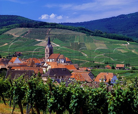 Rodern with the Grand Cru Gloeckelberg vineyard on   the hill beyond  HautRhin France  Alsace