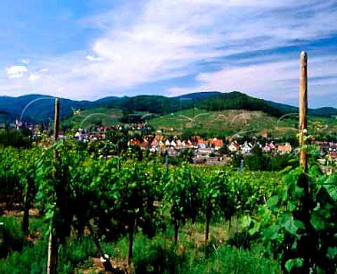 View onto Barr with on the slope beyond the Grand   Cru vineyards Kastelberg and Wiebelsberg  BasRhin France Alsace