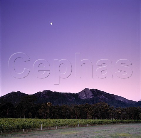 Springviews Vineyard in the Porongurup Hills   near Mount Barker Western Australia  Lower Great Southern
