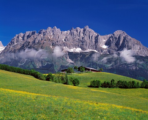 Spring meadow with Wilder Kaiser mountain beyond Tyrol Austria