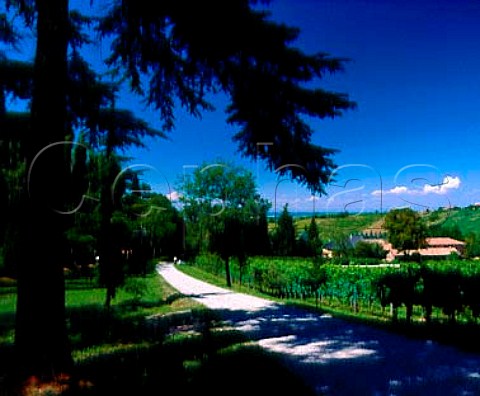 Entrance to the Frecciarossa estate Casteggio   Lombardy Italy   Oltrep Pavese DOC