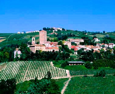 Village and vineyards near Santa Maria della Versa   Lombardy Italy Oltrep Pavese DOC