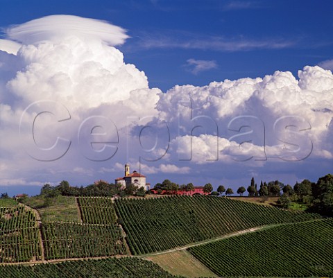 Castello di Luzzano and its vineyards Rovescala Lombardy Italy   Oltrep Pavese  Colli Piacentini