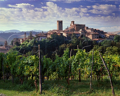 Vineyard overlooking the medieval town of  CastellArquato Emilia Romagna Italy  Colli Piacentini DOC   