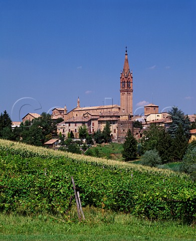 Vineyard by the medieval town of Castelvetro Emilia Romagna Italy  Lambrusco Grasparossa di Castelvetro DOC