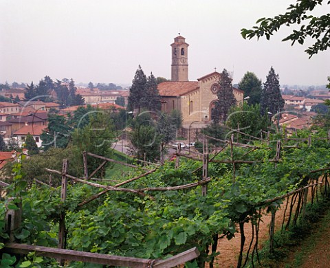 Vineyards at Chiesa di Santo Stefano Rovato   Lombardy Italy Franciacorta