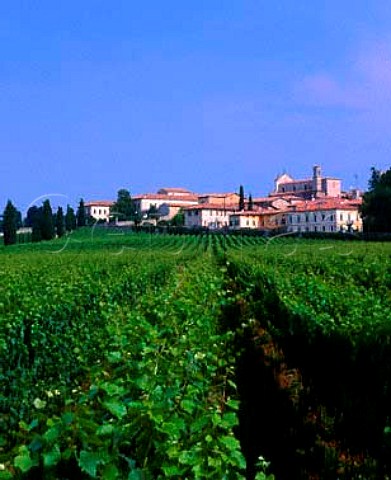 The LonghiDe Carli estate at Erbusco Lombardy   Italy   Franciacorta