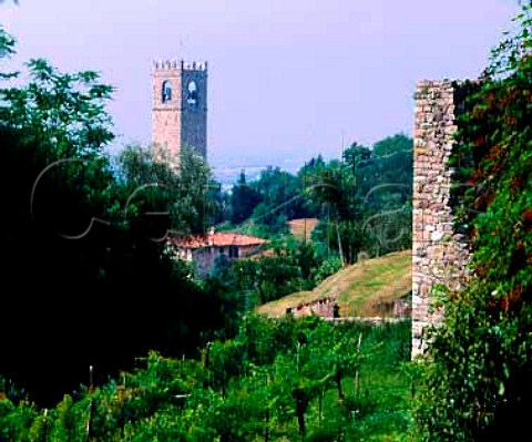 The Torre Communale at Adro Lombardy Italy      Franciacorta