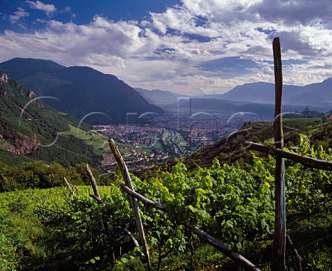 View south over Bolzano and the Adige valley Alto Adige Italy  Colli di Bolzano DOC