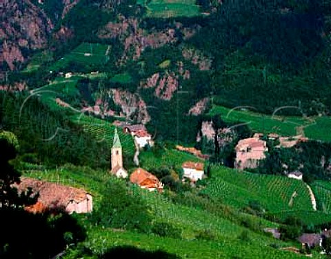 Vineyards on the slopes of the Talvera valley   north of Bolzano Alto Adige Italy    Santa Maddalena DOC