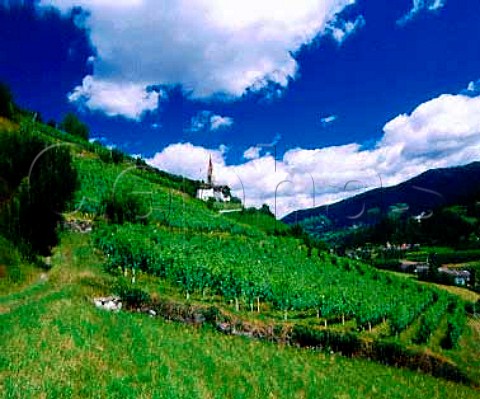 Church amidst the vineyards on the slopes of the   Isarco valley at Schrambach  Alto Adige Italy  Valle Isarco DOC
