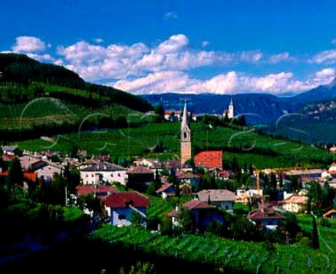 Vineyards around Termeno in the Adige valley   Alto Adige Italy  Caldaro DOC