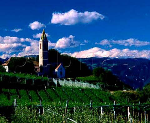 Vineyards and apple orchard by the church at   Castelvcchio altitude 614 m   Alto Adige Italy  Terlano DOC
