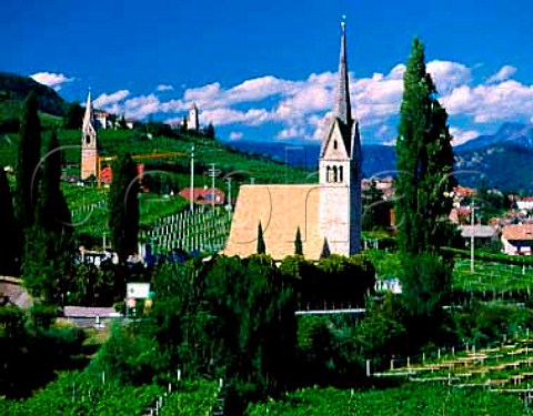 Churches amidst the vineyards at Termeno  Alto Adige Italy  Caldaro DOC