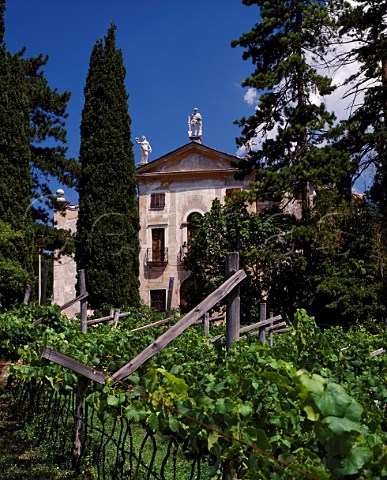 The Baroquestyled 17thcentury Villa Gentilotti   viewed over Chardonnay vineyard of Ferrari at   Mattarello near Trento Trentino Italy