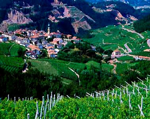 Vineyards surround Palu in the Val di Cembra  Trentino Italy  Trentino  Caldaro DOCs