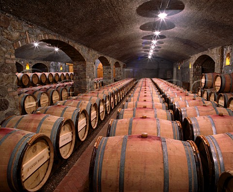 Red wine barrel cellar of Cadel Bosco  Erbusco Lombardy Italy  Franciacorta