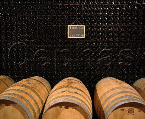Bottles of Trento sparkling wine ageing sur lattes in cellar of Ferrari  Trento Trentino Italy