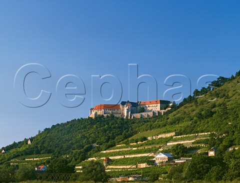 Edelacker vineyard below Schloss Neuenburg Freyburg SaaleUnstrut Germany SaaleUnstrut