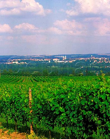 View over the Saalhauser vineyard to Naumburg   SaaleUnstrut Germany  SaaleUnstrut