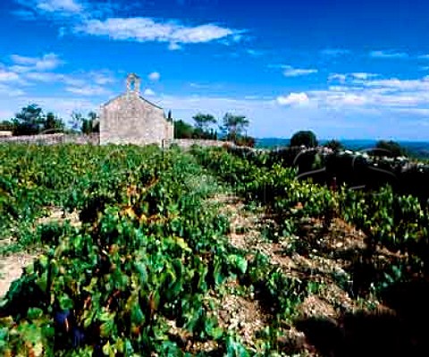 The old church of Centeilles forms part of   the wall of Clos Centeilles  Domaine de Centeilles Siran Hrault France   Minervois