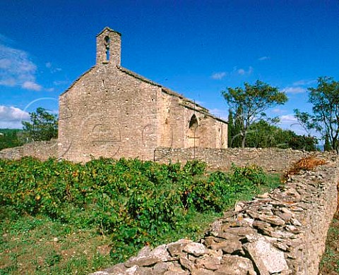 The old church of Centeilles forms part of   the wall of Clos Centeilles  Domaine de Centeilles Siran Hrault France   Minervois