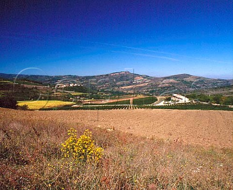 Domaine de lAigle Roquetaillade Aude France  Limoux  Crmant de Limoux