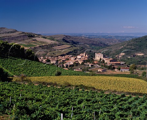 Vineyards and sunflower field above the village of  Roquetaillade Aude France   Limoux