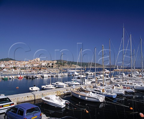 The harbour at BanyulssurMer PyrnesOrientales   France    Collioure  Banyuls