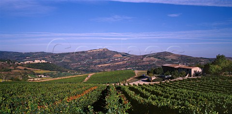 Domaine de lAigle with the village of Roquetaillade   in the distance  Aude France   Limoux