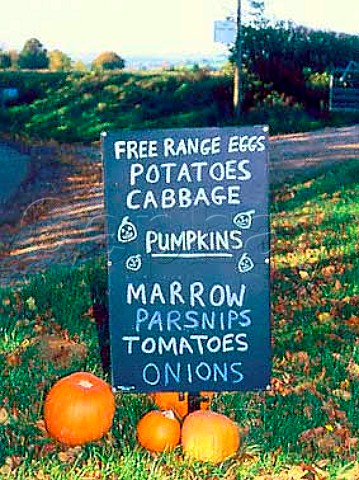 Sign for free range eggs and vegetables   South Petherton Somerset