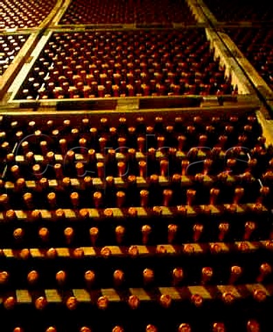Bottle ageing cellars of  Bodegas Palacio de la Vega   Discatillo near Estella Navarra Spain