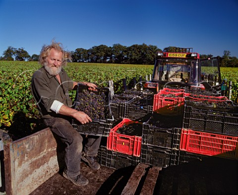 Bill Davey with baskets of Pinot Meunier and Pinot Noir grapes  Nyetimber Vineyard   West Chiltington Sussex England