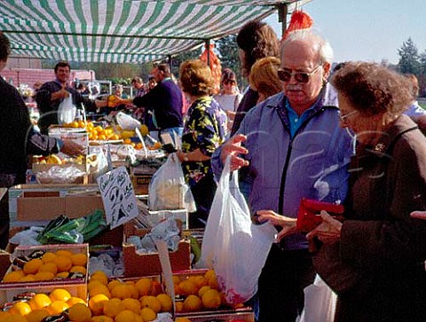Fruit and vegetable stall   Brooklands Sunday market Weybridge Surrey
