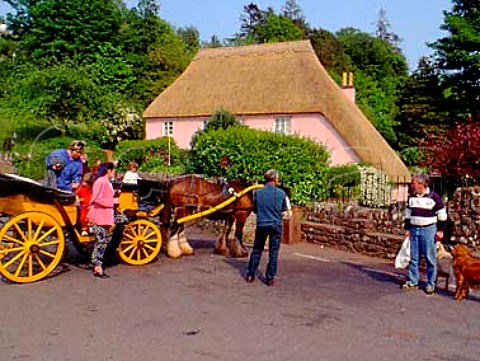 Horse and Cart ride outside Rose Cottage   Cockington near Torbay Devon England