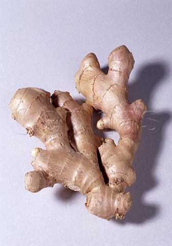 Root ginger