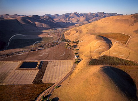 Bien Nacido Vineyards by the Cuyama River in the San Rafael Range with Au Bon Climat beyond Santa Barbara Co California   Santa Maria Valley AVA