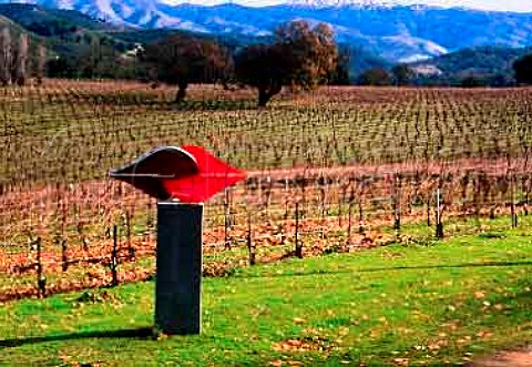Toby Hellers sculpture The Kiss by   vineyard of Durney Winery    Monterey Co California    Carmel Valley AVA